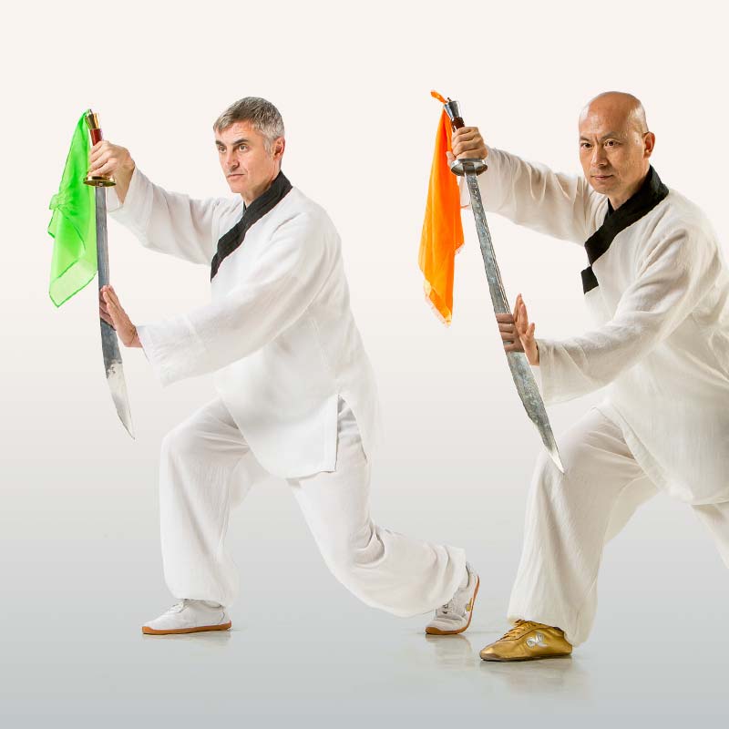 Taichi sable estilo Chen <span class="sub">Curso avanzado</span>